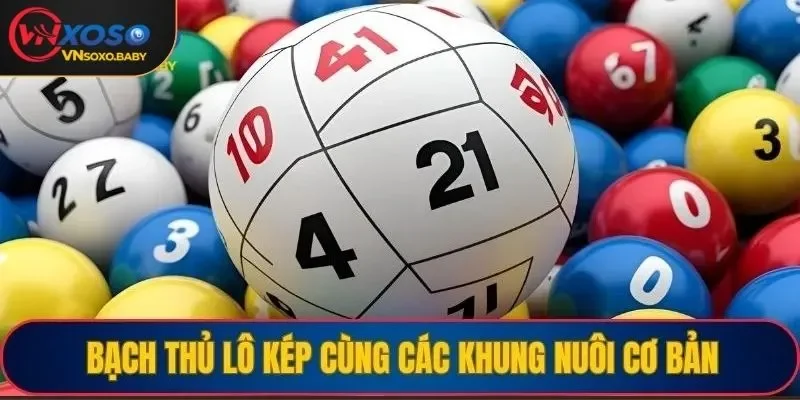 Bạch thủ lô kép cùng các khung nuôi cơ bản