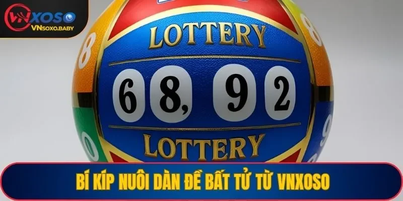 Bí kíp nuôi dàn đề bất tử từ VNSOXO