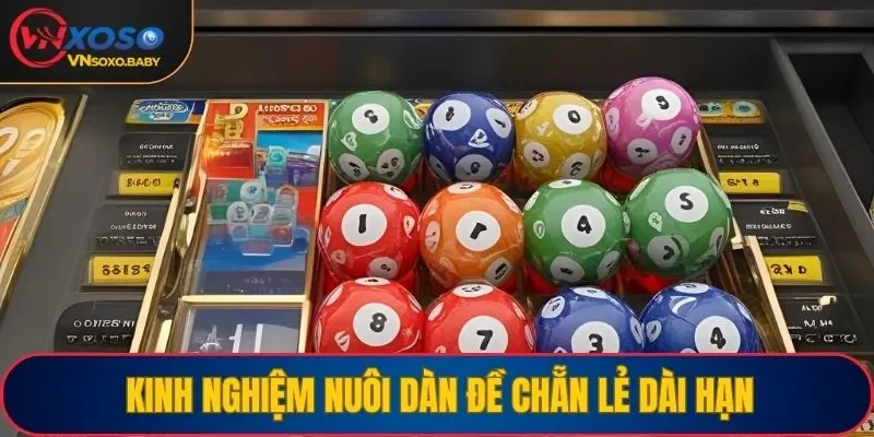 Kinh nghiệm nuôi dàn đề chẵn lẻ dài hạn