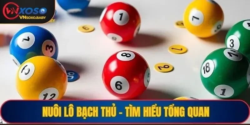 Nuôi lô bạch thủ - Tìm hiểu tổng quan