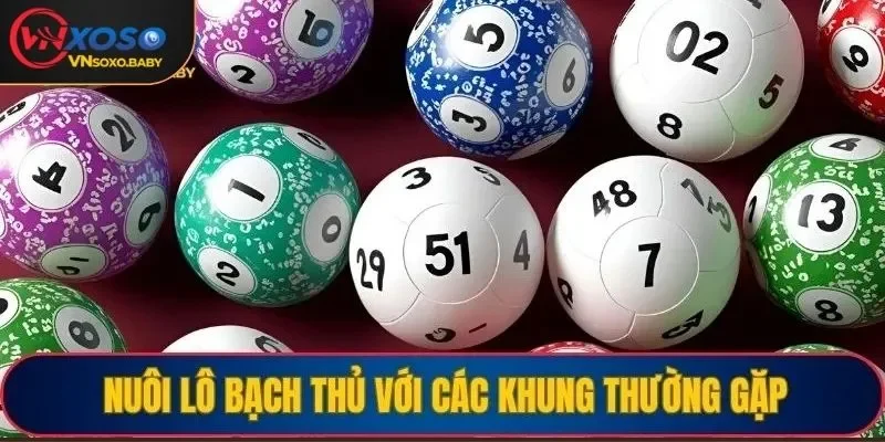 Nuôi lô bạch thủ với các khung thường gặp