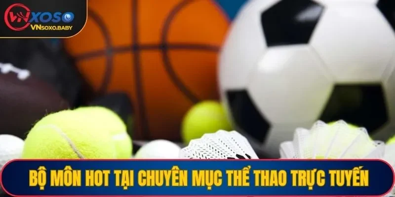 Các bộ môn hot nhất 2025