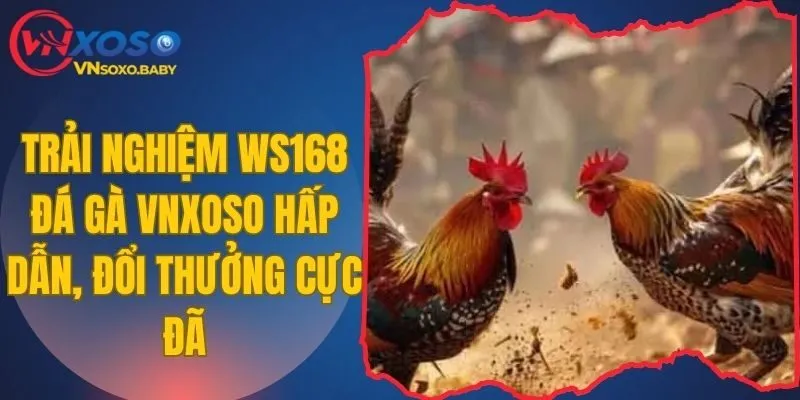 WS168 đá gà VNSOXO