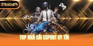 Top Nhà Cái Esport Uy Tín Trả Thưởng Cực Cao Cho Game Thủ